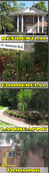 Commercial Landscape Maintenance